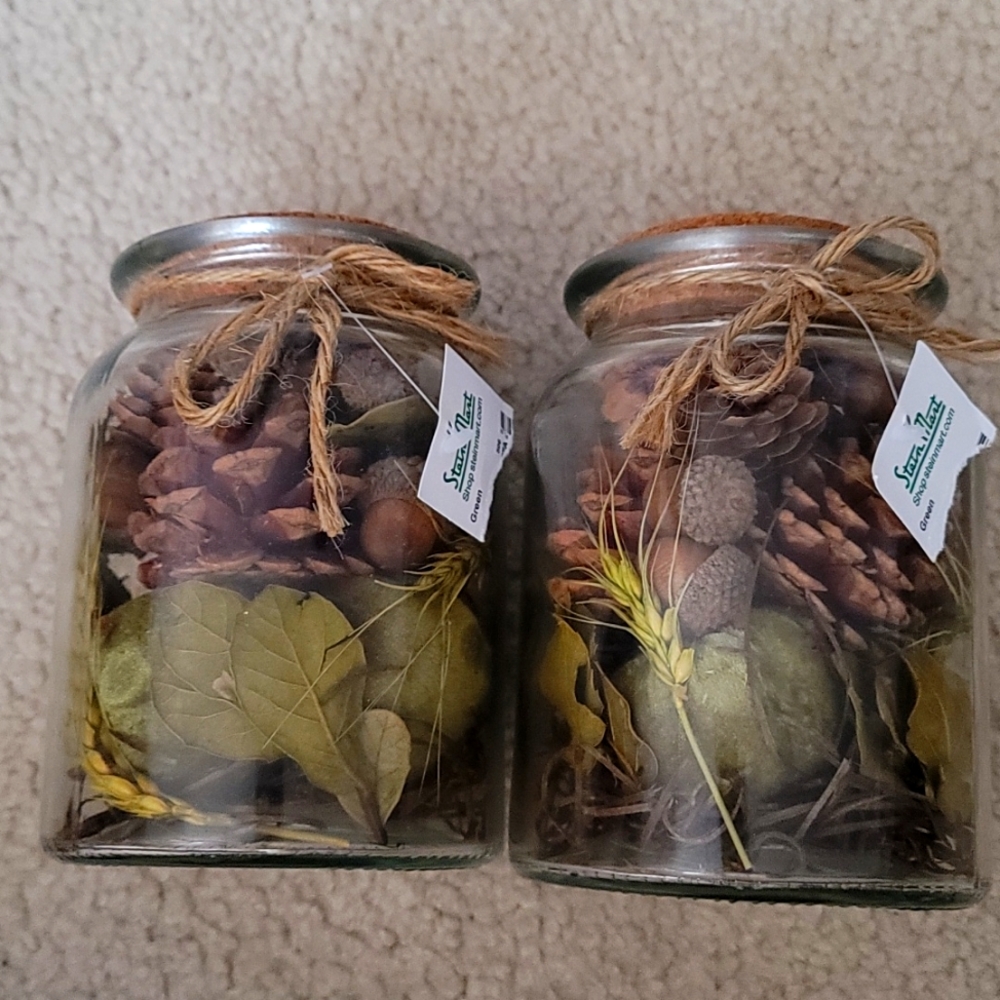 SteinMart Glass Jar Greenery decorative room he ascending